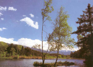 Vahrner See / Lago di Varna